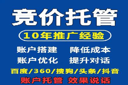 专业sem竞价托管服务，案例解析提升广告效果